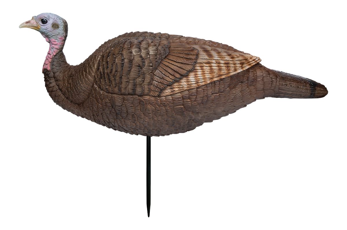 Primos 69073 Lil Gobstopper Hen Turkey Species Multi Color
