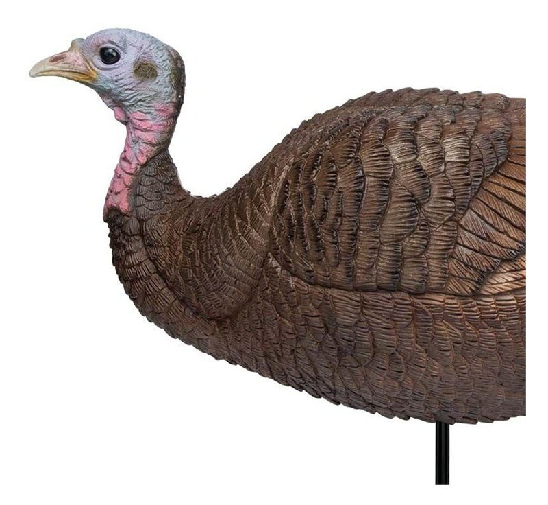Primos 69073 Lil Gobstopper Hen Turkey Species Multi Color view 2