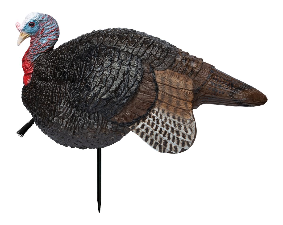 Primos 69074 Lil' Gobstopper Jake Turkey Species Multi Color