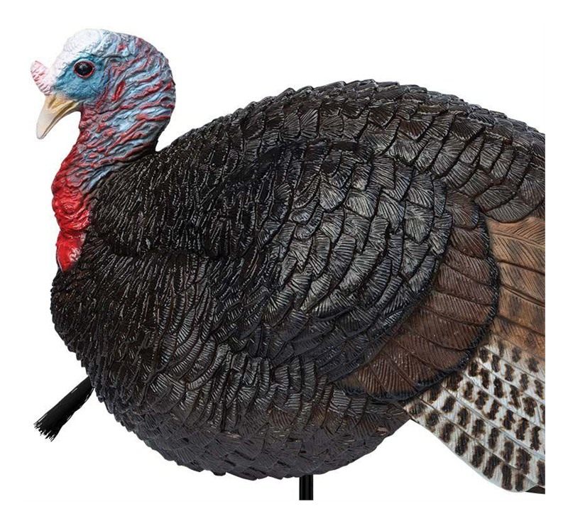 Primos 69074 Lil' Gobstopper Jake Turkey Species Multi Color view 2