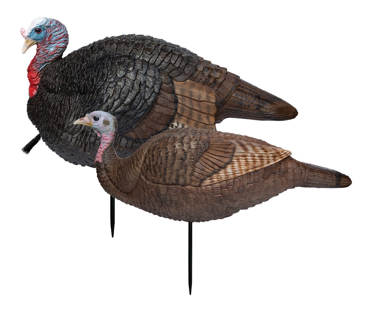Primos 69075 Lil' Gobblestopper Jake Hen Combo Turkey Species Multi Color