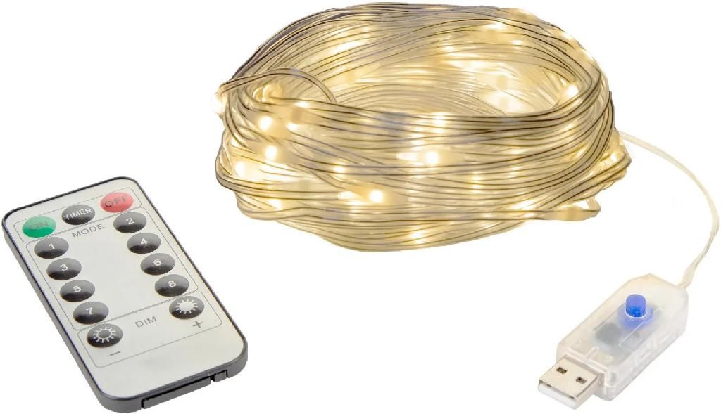 Stansport S/sport 30' Led Outdoor String Lights W/remote (usb Powered)