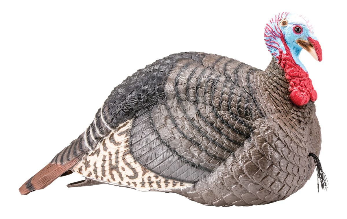 Hunters Specialties HS Strut Lite Jake Gobbler Turkey Foldable Hollow Body