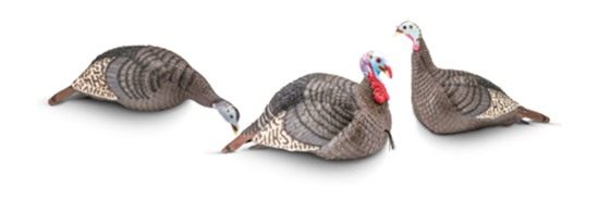 Hunters Specialties HS Strut Lite Flock Jake Feeding Hen Upright Turkey Fol view 2