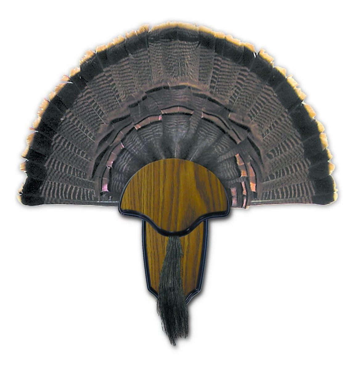 Hunters Specialties Strut Turkey Tail Beard Mounting Kit - Durable Easy To