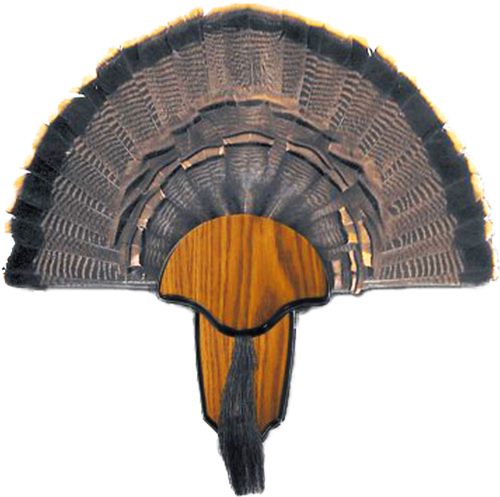 Hunters Specialties Strut Turkey Tail Beard Mounting Kit - Durable Easy To view 2