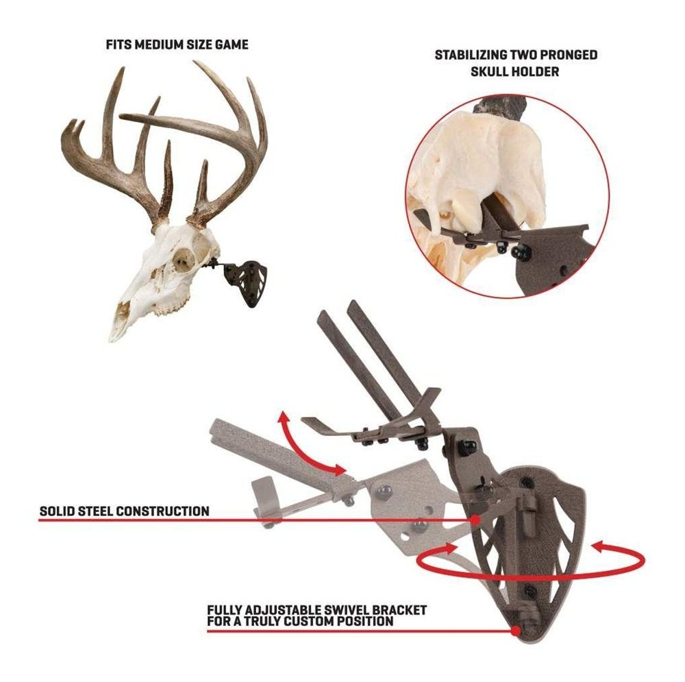 ALLEN EZ MOUNT TROPHY SKULL HANGER BROWN