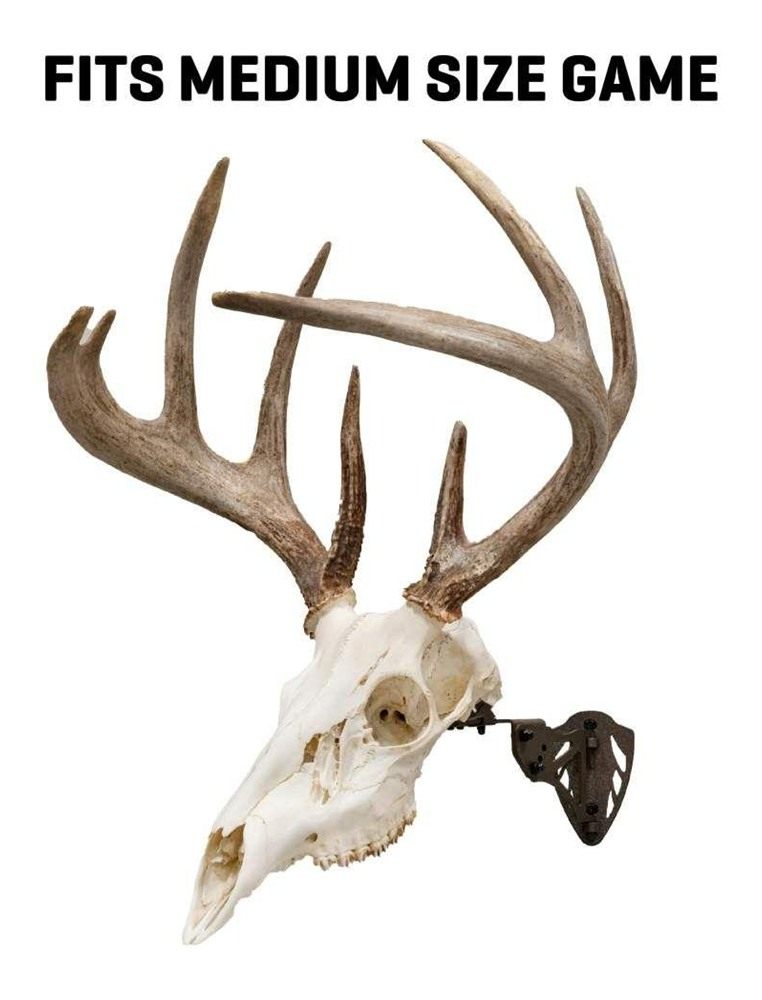 ALLEN EZ MOUNT TROPHY SKULL HANGER BROWN view 4