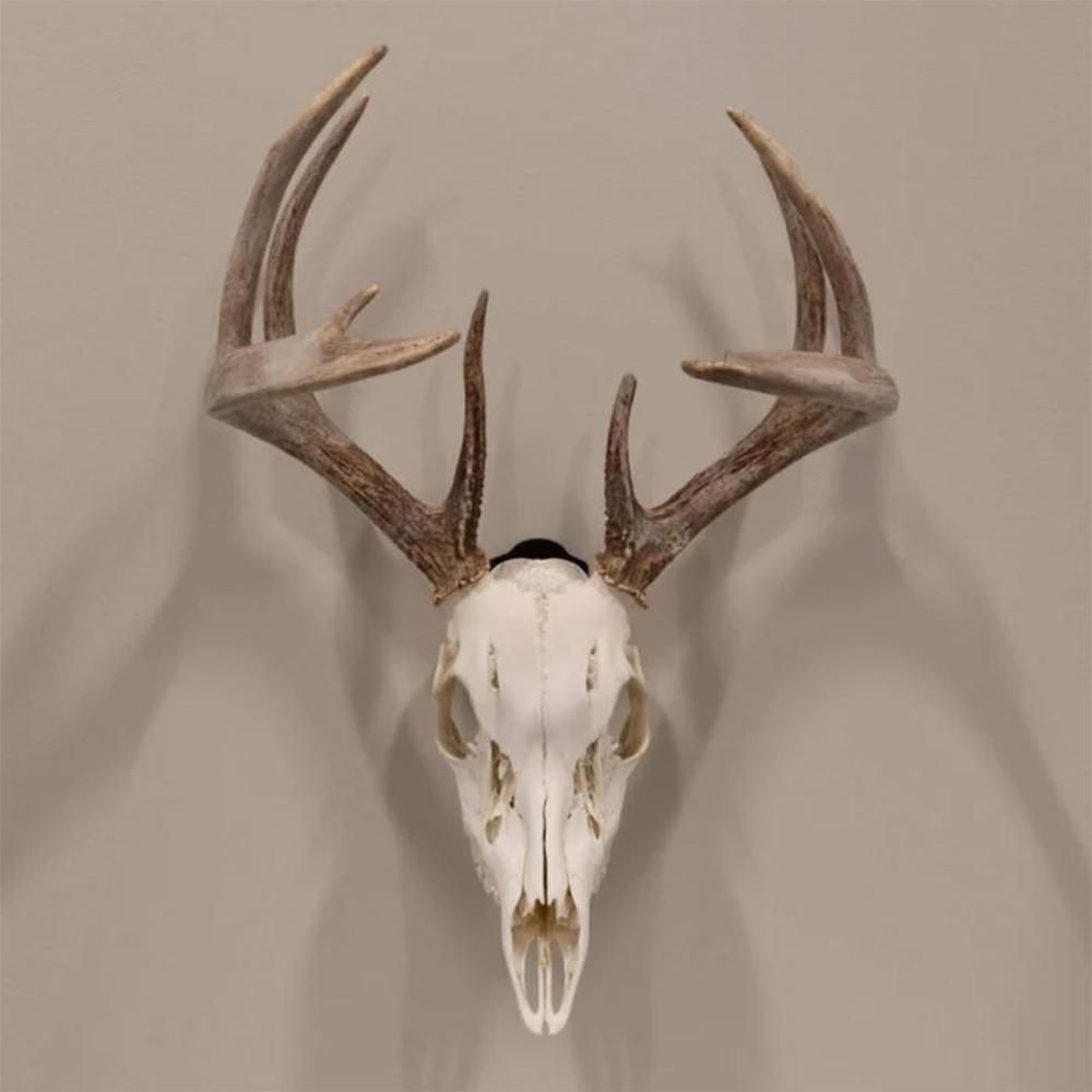 Allen 7222 EZ Mount Skull Peg Wall Small/Mid-Size Game Black Steel Includes view 2