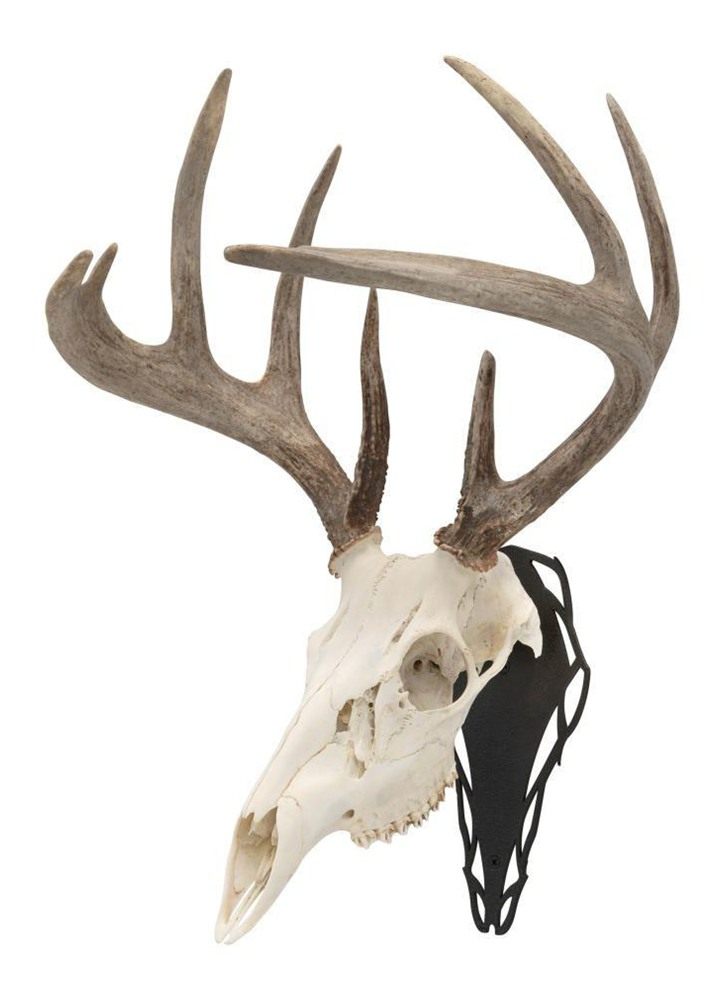 Allen EZ Mount Silhouette Skull Peg Black view 2