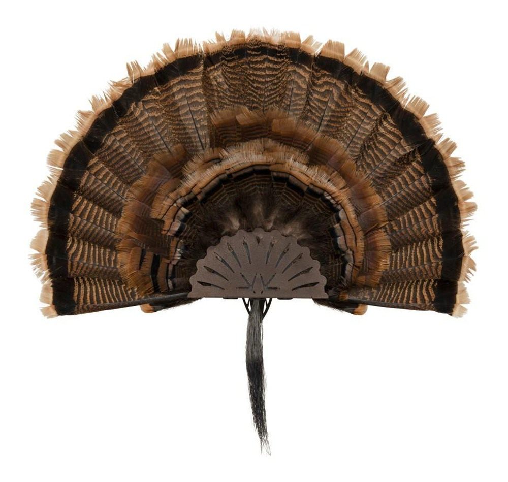 Allen 7238 EZ Mount Turkey Fan Display Wall Brown Steel Includes Hardware view 3