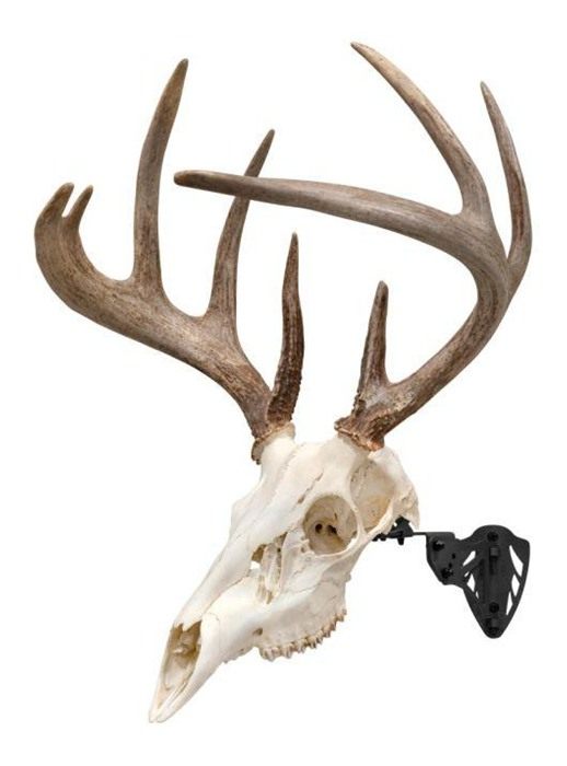 Allen 7254 EZ Mount Trophy Skull Hanger Wall Small/Mid-Size Game Black Stee view 5