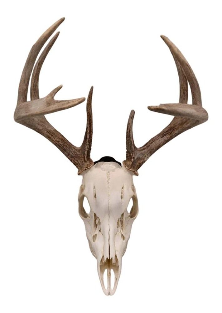 Allen 7257 Skull Peg Wall Mount Small/Mid-Size Game Black Steel Includes Ha view 3