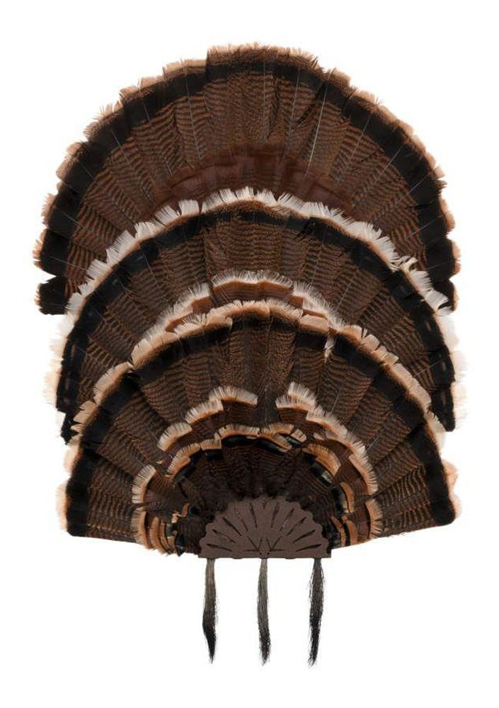 Allen 7258 Turkey Fan Mount Includes Hardware view 5