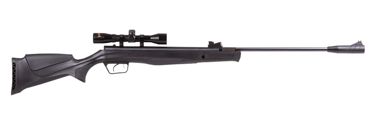 Beeman 1061622 Air Rifle Combo 22