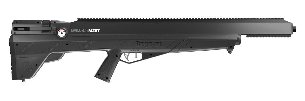 Benjamin 22cal Pcp Multi Shot Bolt Action Air Rifle