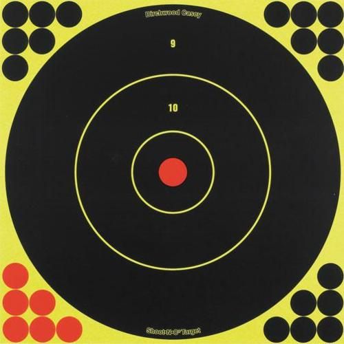 Birchwood Casey Shoot-N-C 12 Inch Bullseye Targets - 5 Count Pack with 120 view 2