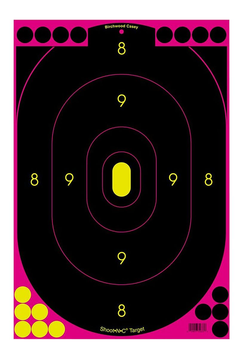 Birchwood Casey Shoot 'n' C Pink 12 x 18-Inch Silhouette Target, 5 Targets