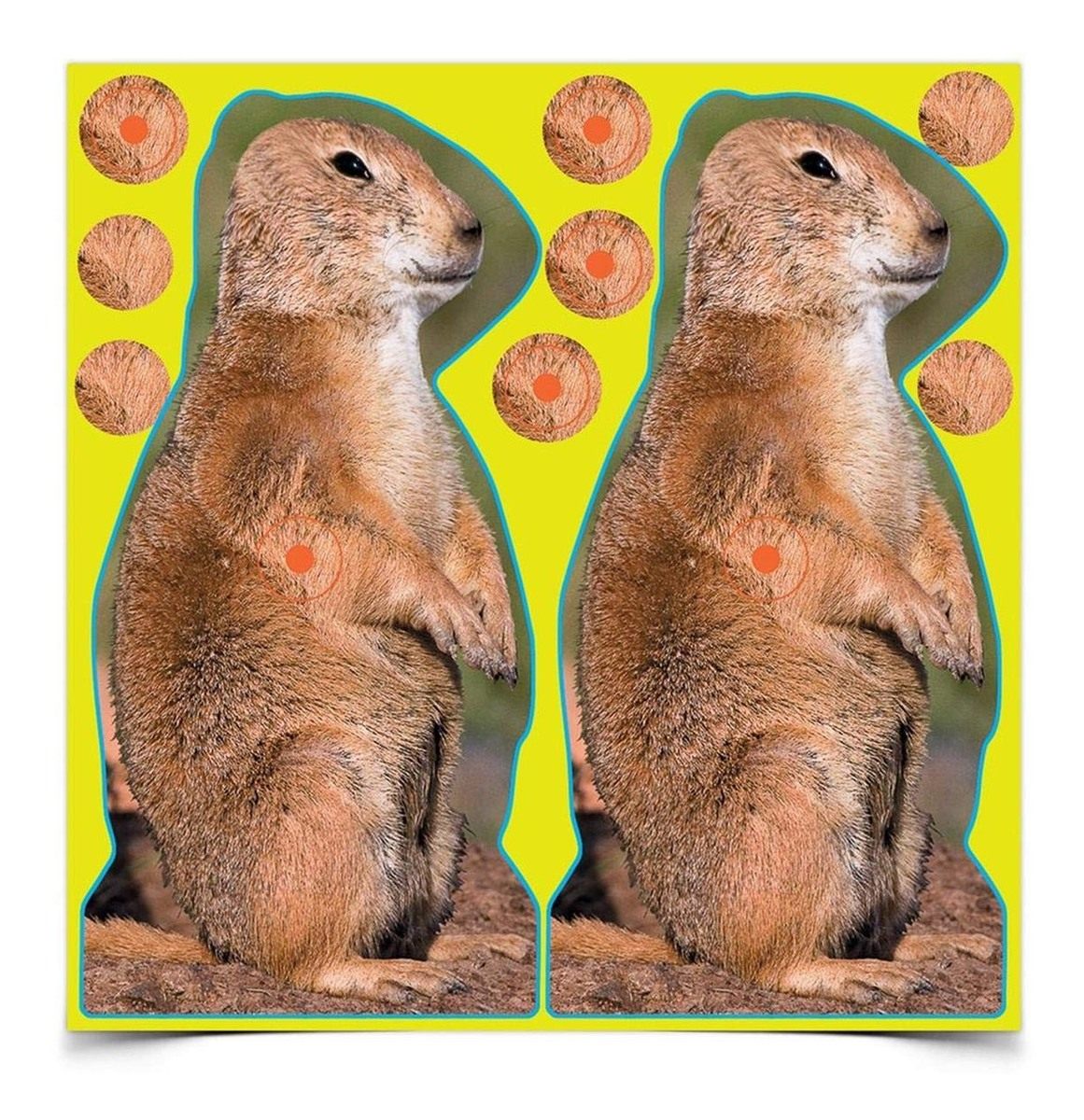 Birchwood Casey Shoot-N-C 12in Prairie Chuck Reactive Targets - Highly Visi