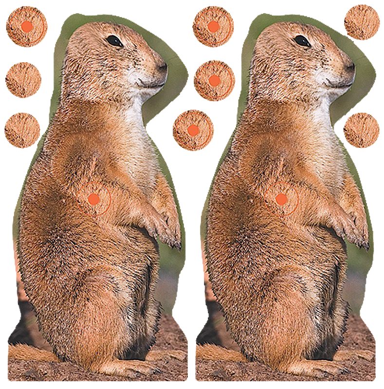 Birchwood Casey Shoot-N-C 12in Prairie Chuck Reactive Targets - Highly Visi view 2