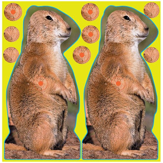 Birchwood Casey Shoot-N-C 12in Prairie Chuck Reactive Targets - Highly Visi view 3