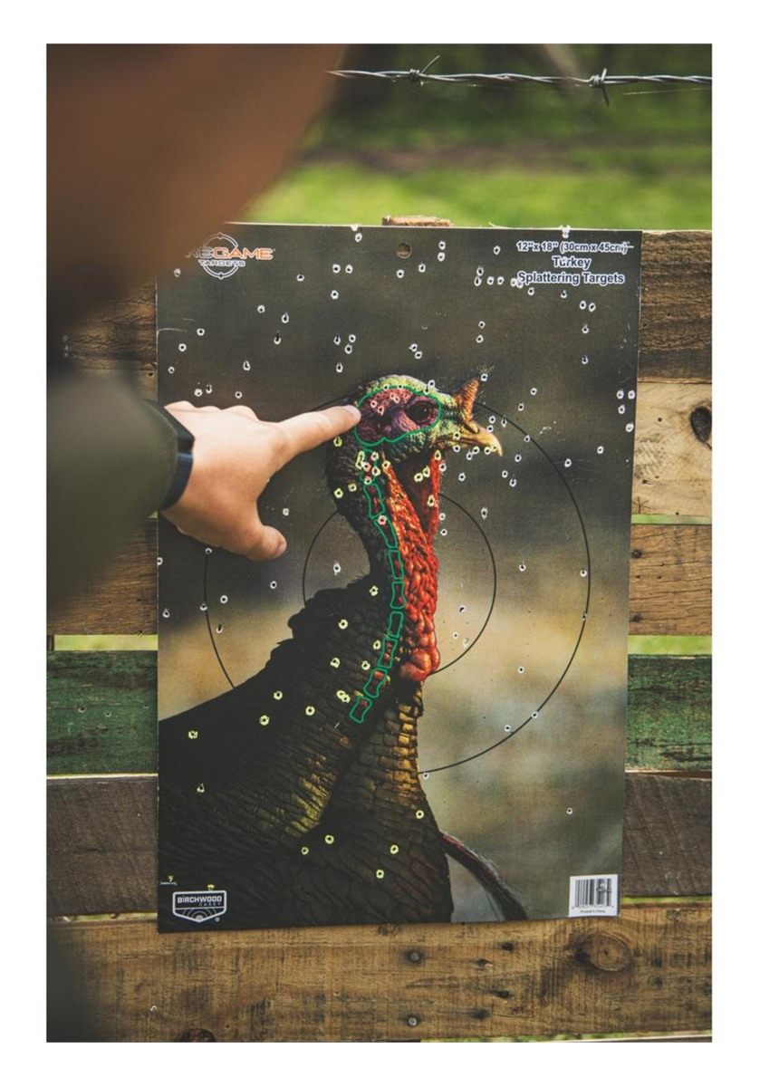 Birchwood Casey 35403 Shooting Target Pre Game Turkey 12 x 18, 8-Pack