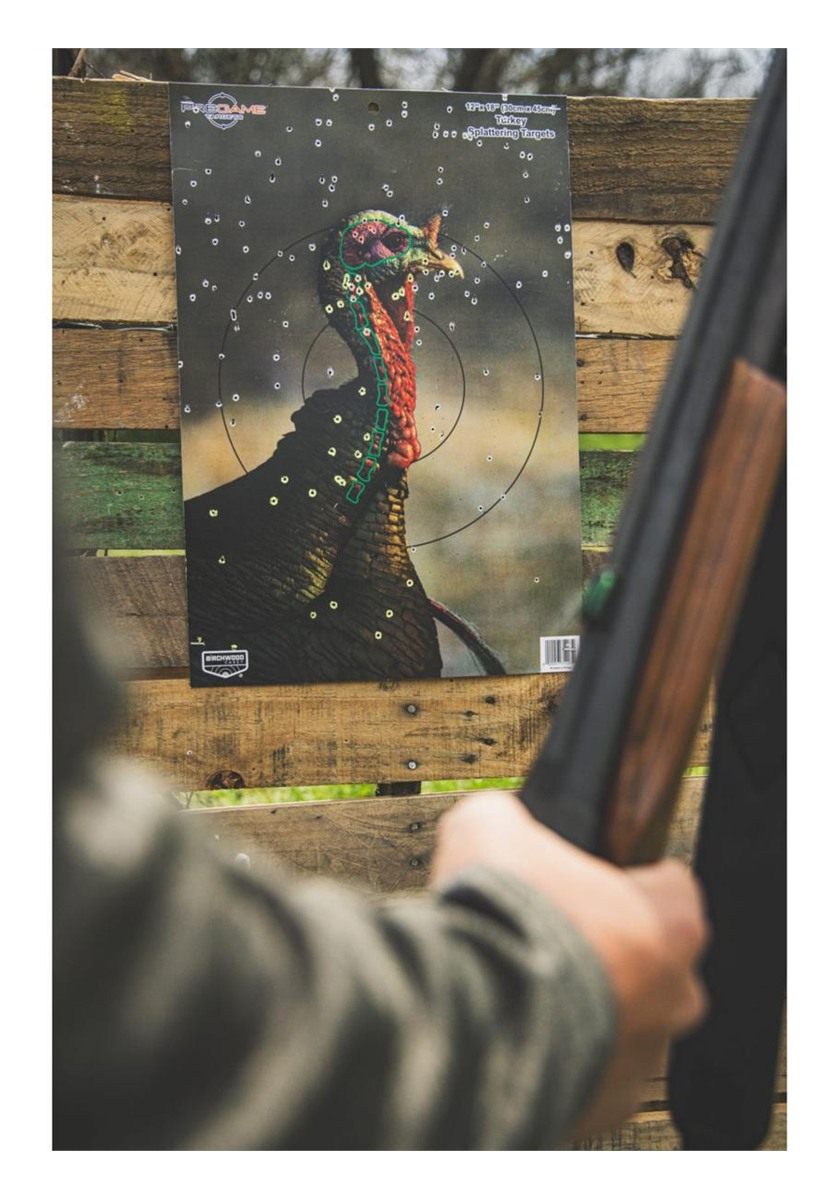 Birchwood Casey 35403 Shooting Target Pre Game Turkey 12 x 18, 8-Pack view 2