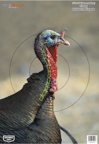 Birchwood Casey 35403 Shooting Target Pre Game Turkey 12 x 18, 8-Pack view 5