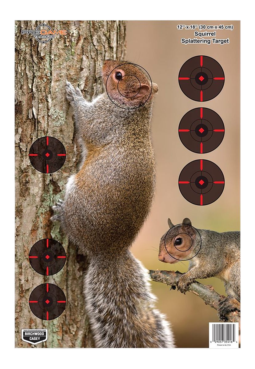 Birchwood Casey Pregame 12? x 18? Squirrel Target - 8 Black