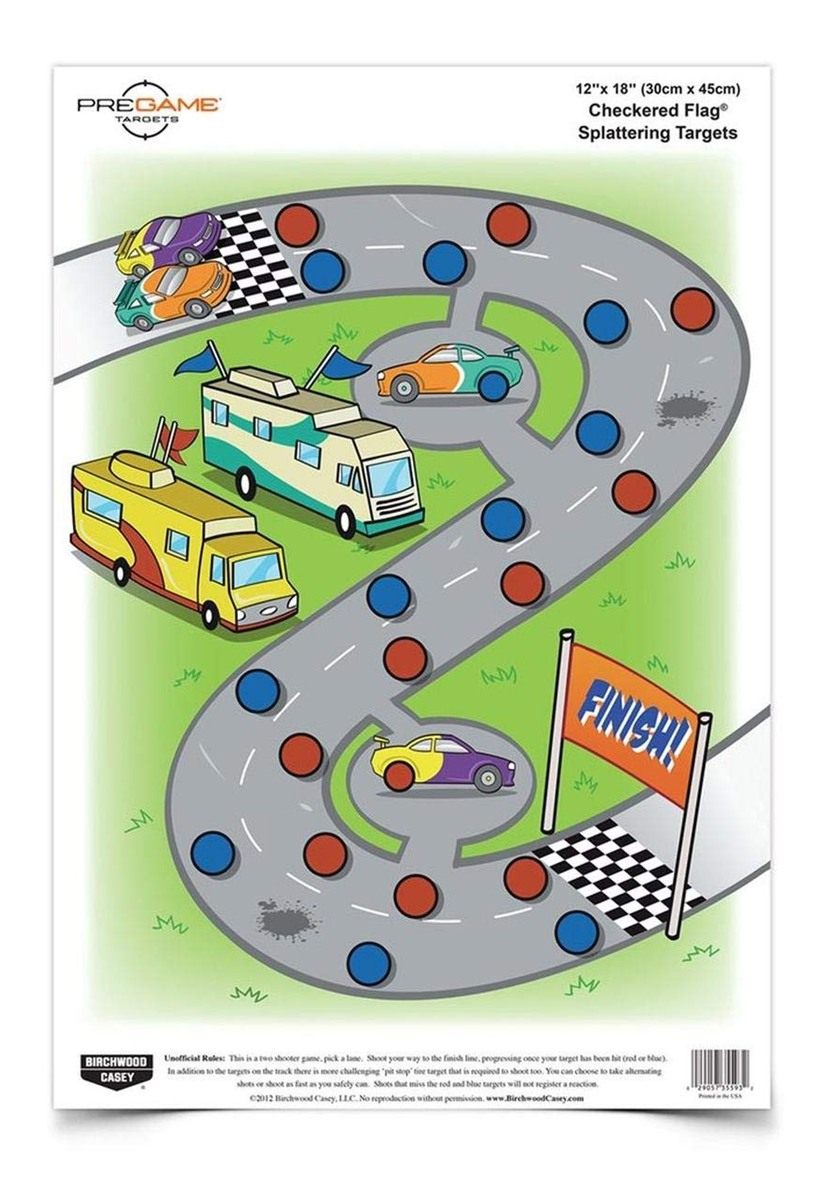 Birchwood Casey Pregame Checkered Flag 12 x 18-Inch Target, Multi, One Size