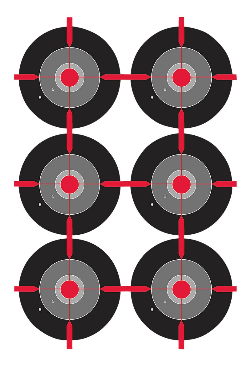 Birchwood Casey Dirty Bird 12in x 18in Multiple Bull's-Eye Target - 100 She