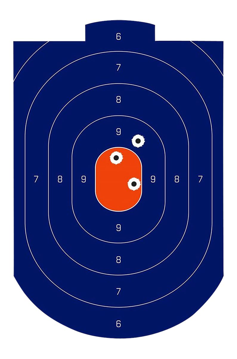 Birchwood Casey Non-Adhesive Dirty Bird 12inx18in Splattering Targets Pract