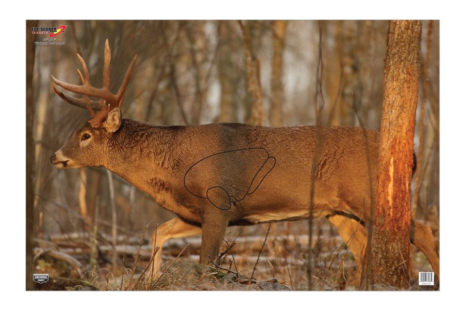Birchwood Casey 37481 EZE-Scorer Deer 23x35 view 2