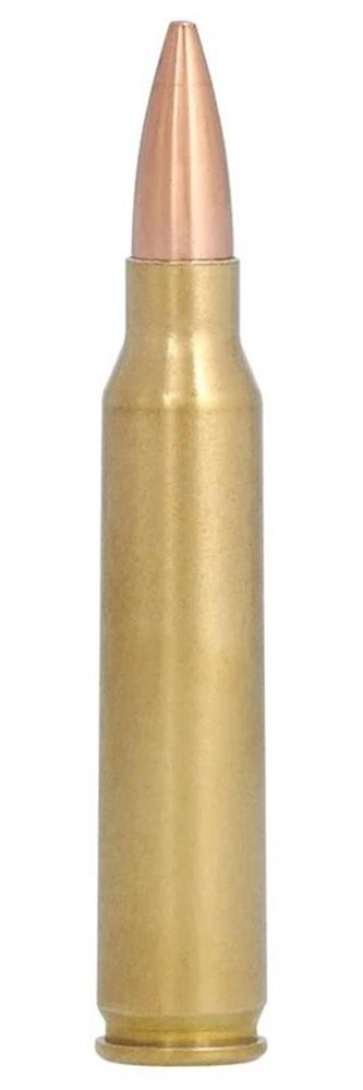 Federal Premium Gold Medal Sierra MatchKing Rifle Ammunition .223 Rem 69 gr view 3