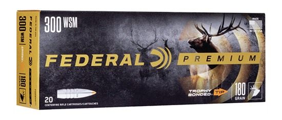 Federal Cartridge Premium Vital-Shok Rifle Ammunition .300 WSM 180 gr TBT 2 view 2