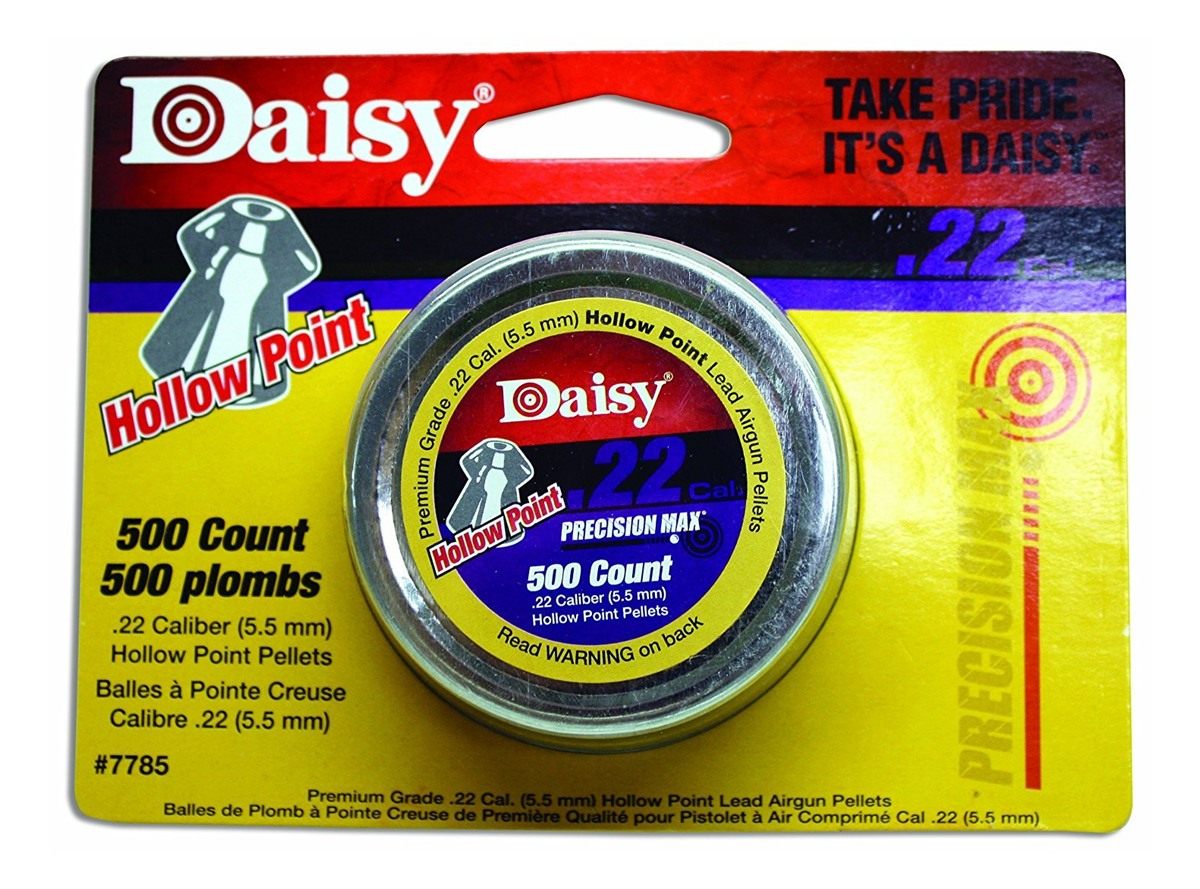 Daisy Outdoor Products .22 500ct Hollow Point Pellets (Silver, 5.5 mm)