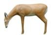 Big Shot Archery Pro Hunter Doe - Motor Freight Only view 2
