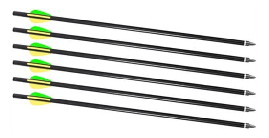 Traditions A2217 Crackshot XBR Archery Bow Hunting 2216 Firebolt Arrows 6 P view 2