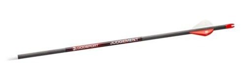 Gsm Bloodsport Judgement Arrow 300 Spine 6/pk