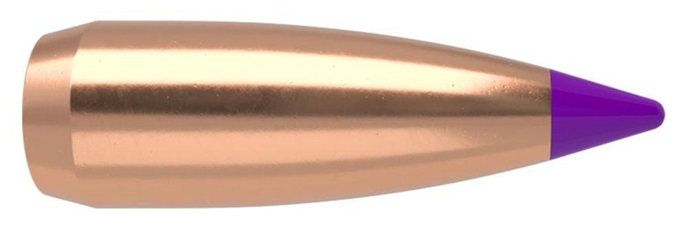 Nosler Bullets Ballistic Tip Varmint Rifle 6mm .243in 55 gr SBT-SB 100/ct view 4