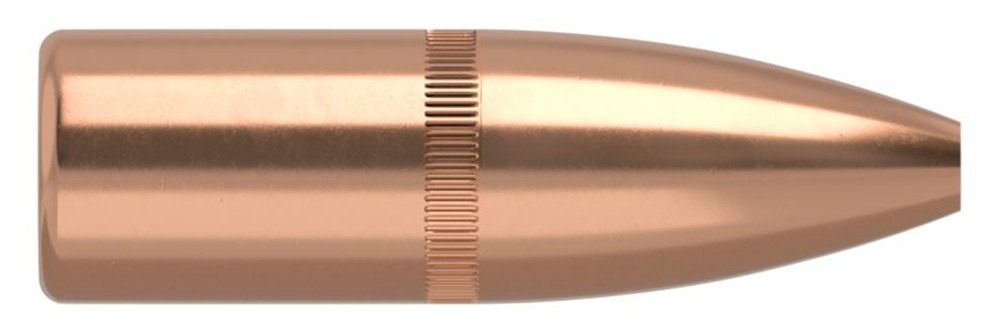 NOSLER 35631 Varmageddon 22 Cal 62gr Flat Base Hollow Point 100/Box view 2