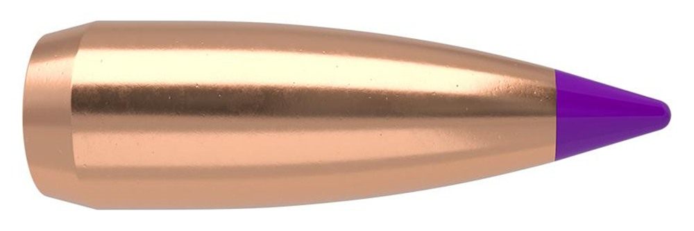Nosler Bullets Ballistic Tip Varmint 6mm .243in 55 gr SBT-SB 250/ct view 2