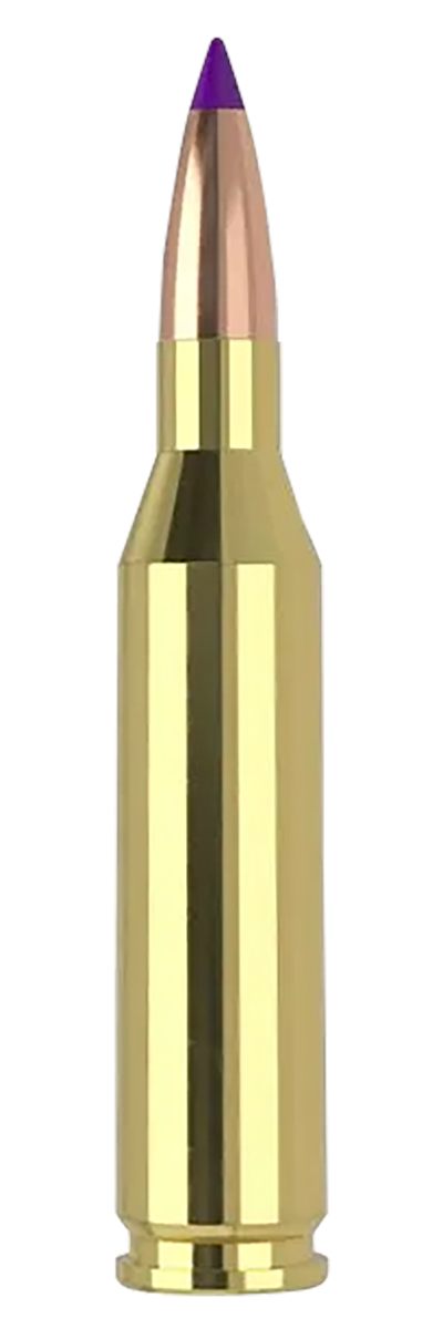 NOSLER Ballistic Tip Varmint Rifle Ammunition .243 Win 70gr PT 3500 fps 20/