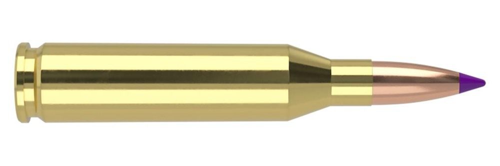 Nosler 40050 Ballistic Tip 243 Win 90gr Spitzer 20 Per Box/10 Case view 2