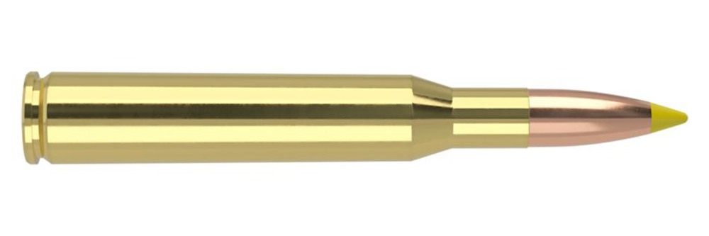 NOSLER 40062 Ballistic Tip 270 Win 130gr Spitzer 20 Per Box/10 Case view 3