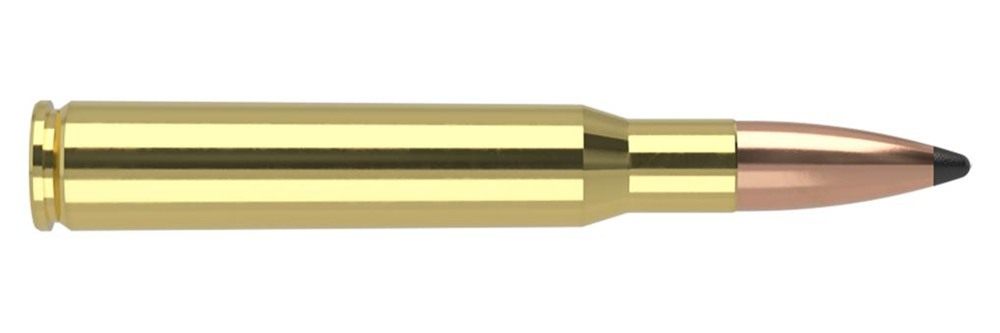 Nosler Bullets Partition Trophy Grade Rifle Ammunition .30-06 Sprg 180 PSP view 2