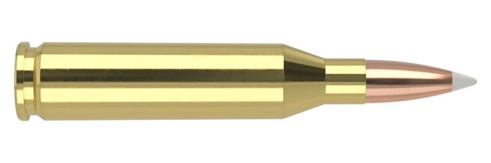 NOSLER Bullets 48263 Trophy Grade 243 Win 90gr AccuBond 20 Per Box/10 Case view 3