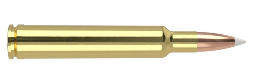 NOSLER 48643 Trophy Grade 300 WthbyMag 180gr AccuBond 20 Per Box/10 Case view 2