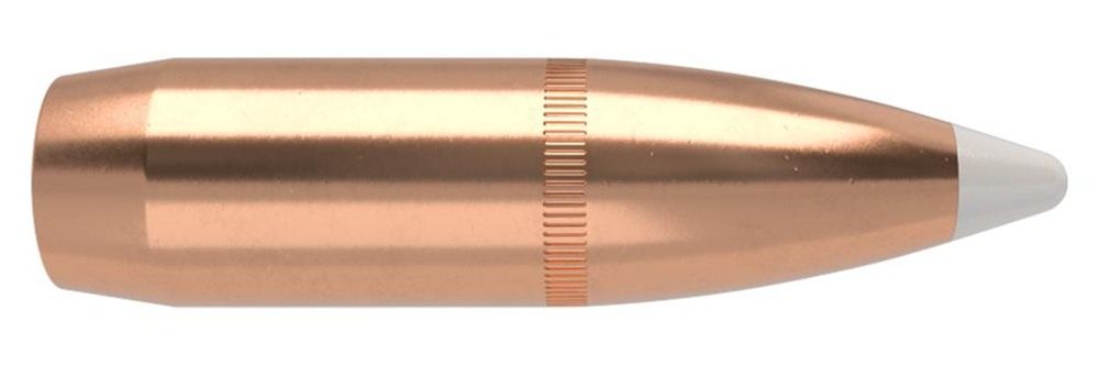 Nosler Bullets AccuBond Rifle .375 cal .375in 300 gr SBT-ACB w Cann 50/ct view 2