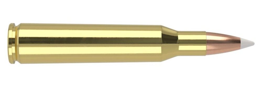 NOSLER Accubond Trophy Grade Rifle Ammunition .257 Rob +P 110 PT 3050 fps 2 view 3